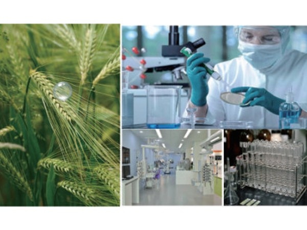 不一樣的護(hù)膚科技 芮雅之謎細(xì)胞賦能新生